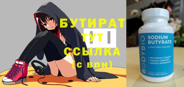 гашик Алексин