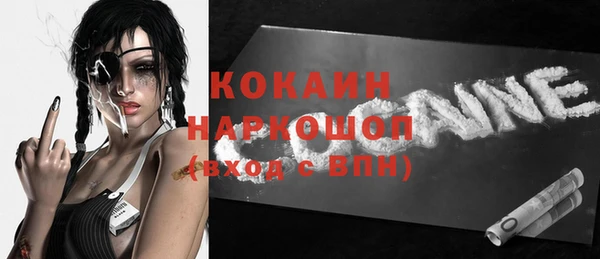 гашик Алексин