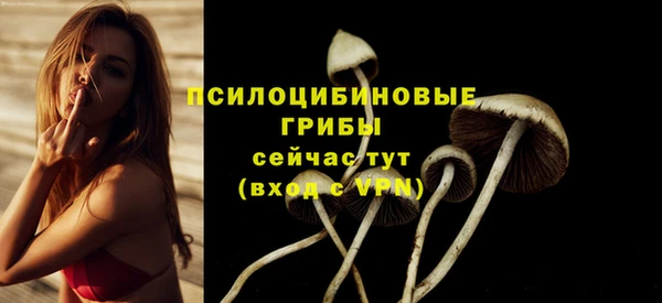 гидра Арсеньев