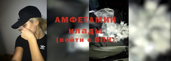 гидра Арсеньев